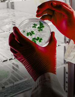 service-Biotechnology