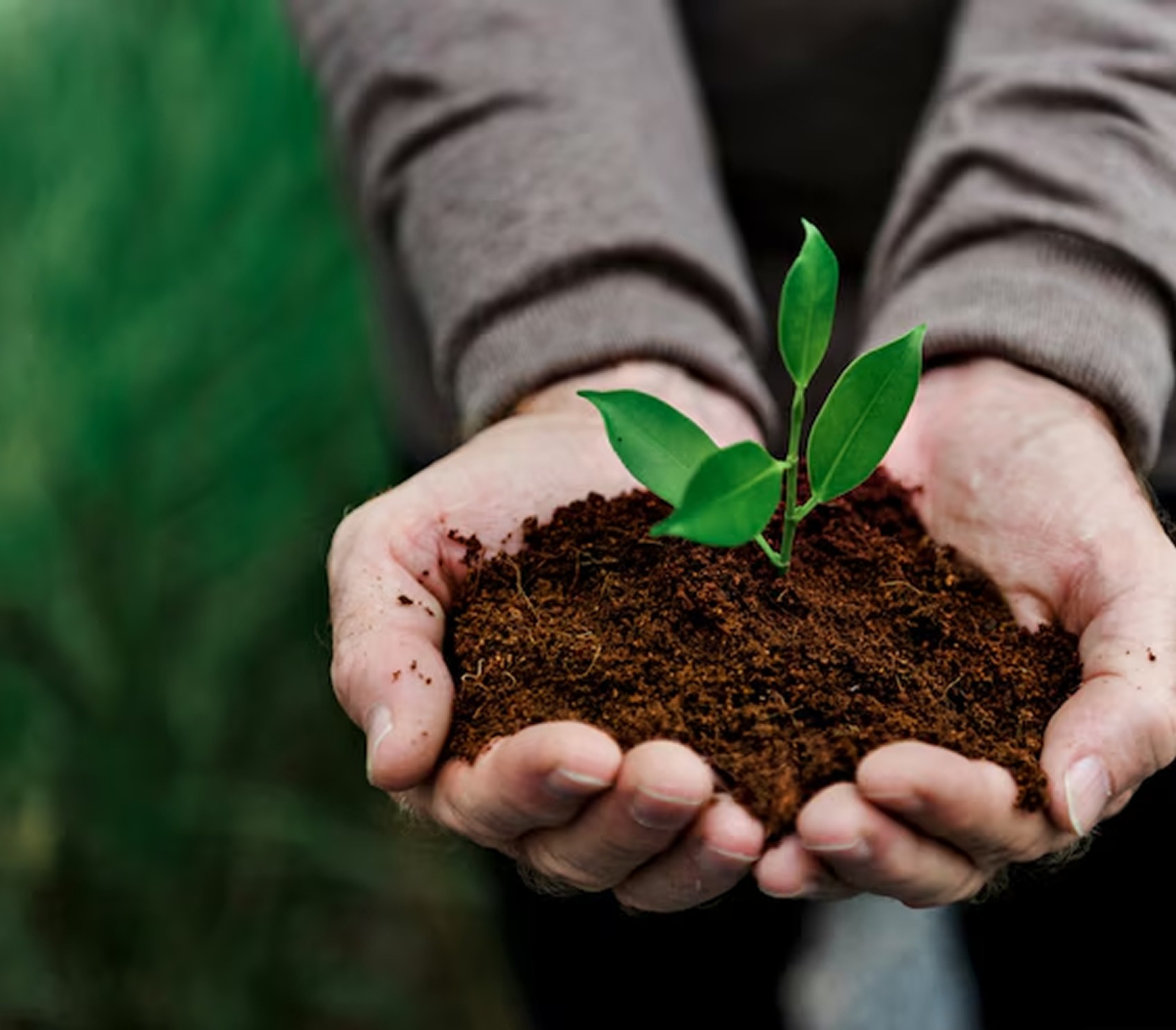Sustainability Commitment